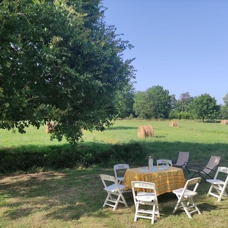 Camera Matrimoniale Il Picchio Verde Spianate Zewnętrze zdjęcie