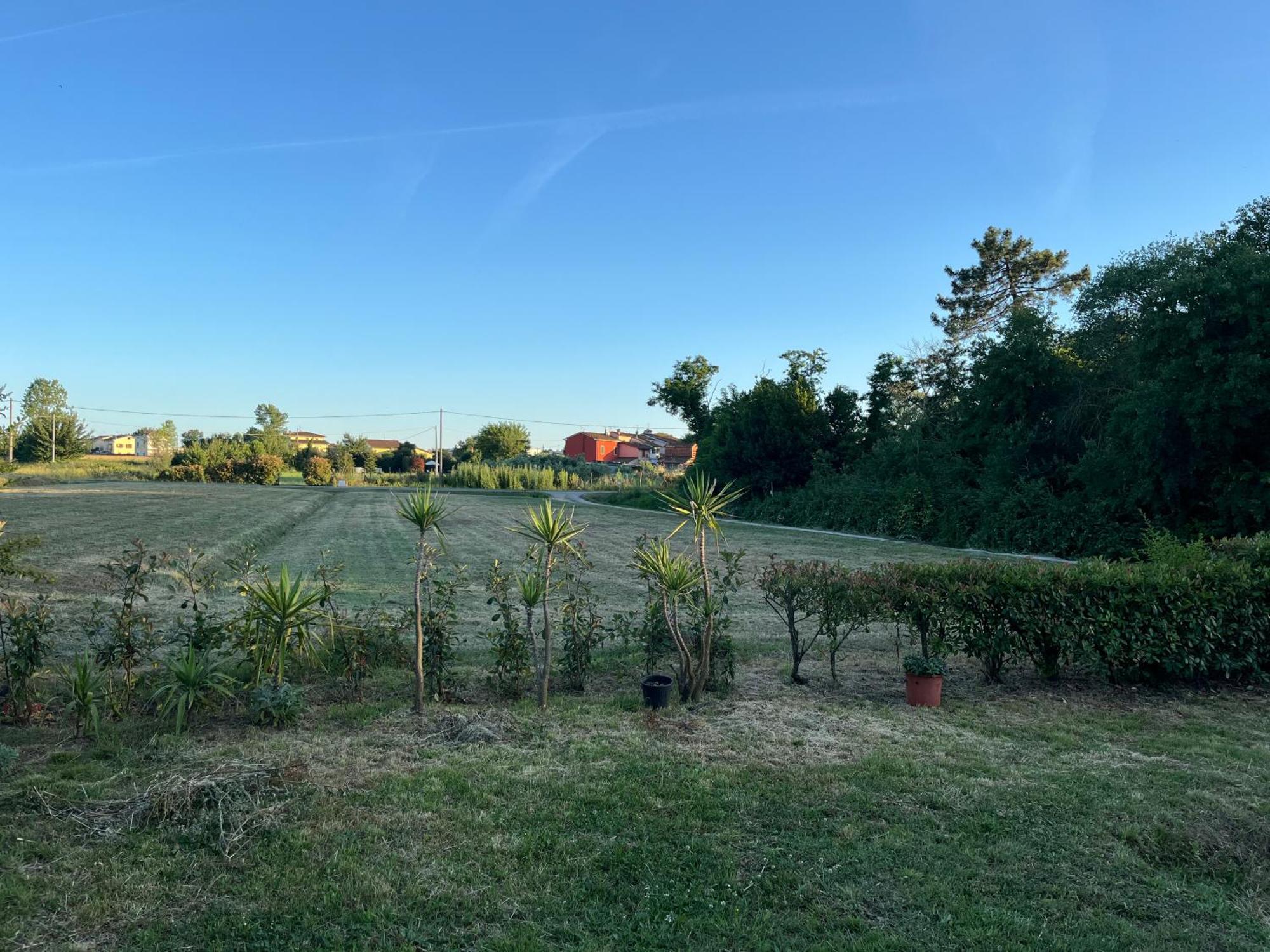 Camera Matrimoniale Il Picchio Verde Spianate Zewnętrze zdjęcie